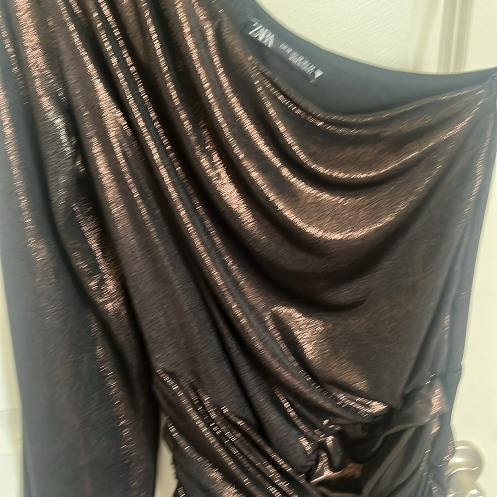 Zara dress